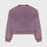 Distorted Stars Sweatshirt Layup in Pink und von hinten